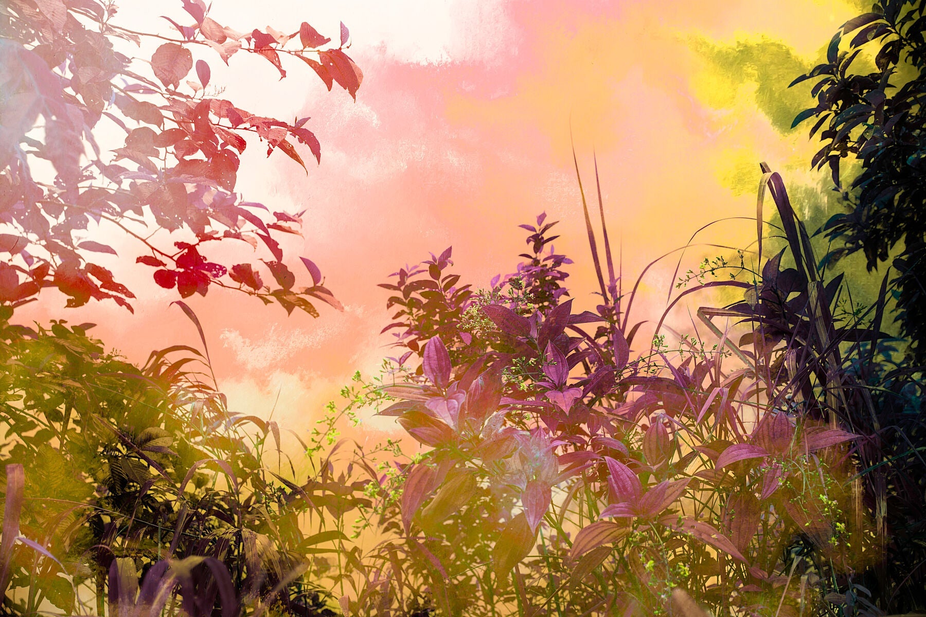 Famous Artists Framed Prints