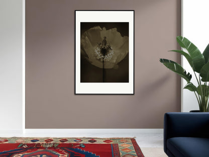 The illusion of poppies 1